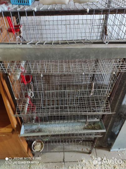 Клетки для перепелов