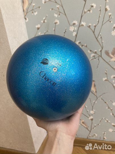 Гимнастический мяч