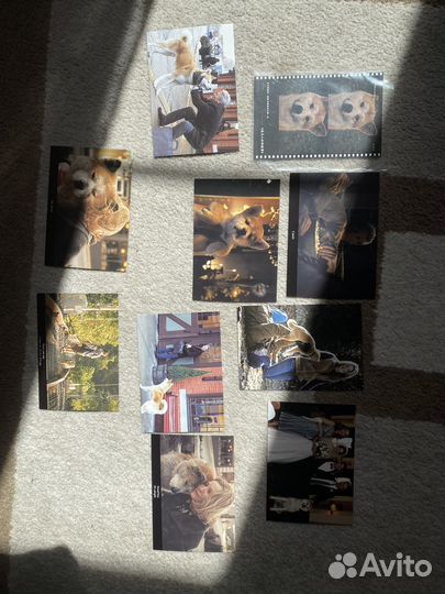 Открытки к фильму Хатико