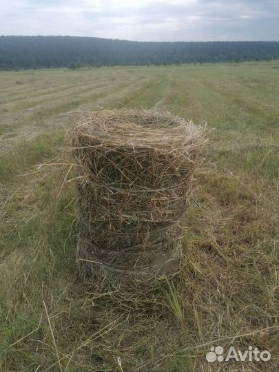 Сено в мини рулонах