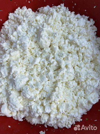 Молоко коровье домашнее