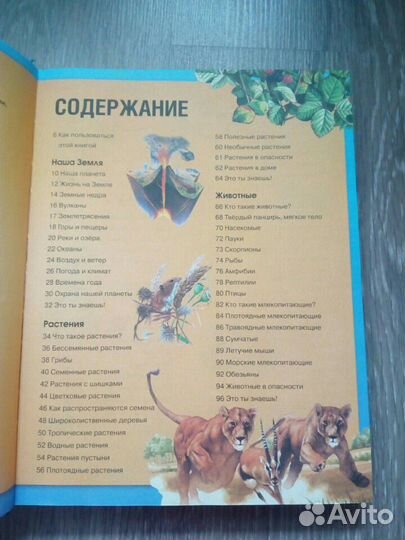 Энциклопедия для детей