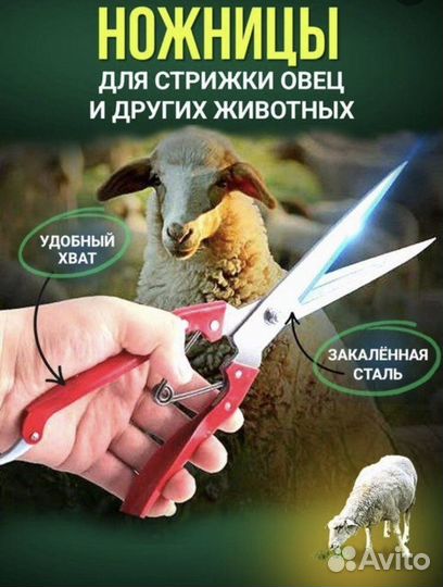 Ножницы для стрижки овец и других животных, 30 см