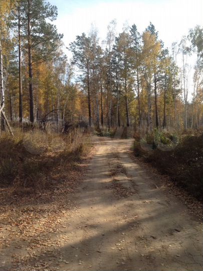 Участок 7 сот. (СНТ, ДНП)