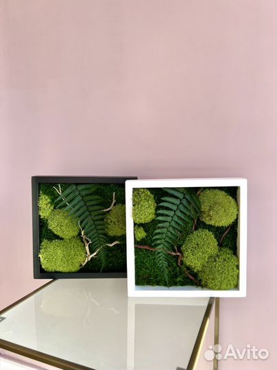 Панно из стабилизированного мха