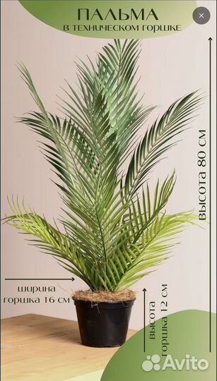 Продам кашпо с цветком