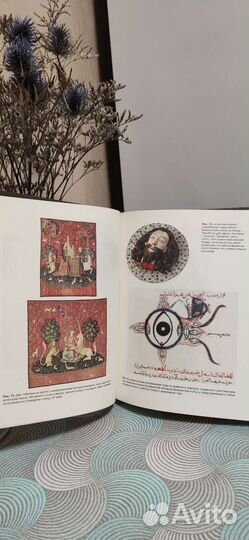 Голое Средневековье Книга