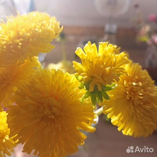 Одуванчики интерьерная композиция, холодный фарфор