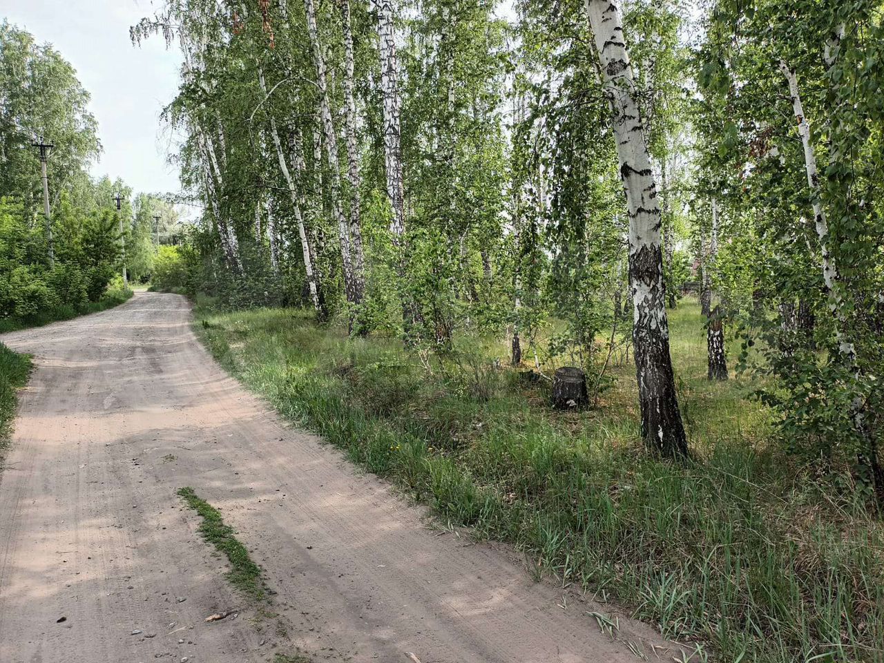 Участок 10 сот. (ИЖС)