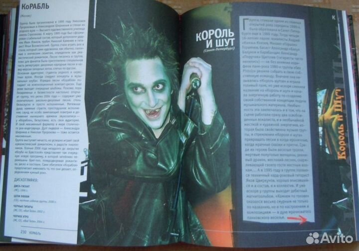 Книги о рок-музыке Король и шут, Сектор газа