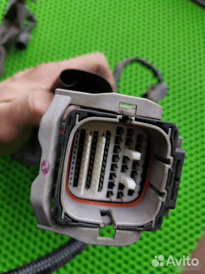 Жгут двигателя Subaru Outback BP9 EJ253 2007