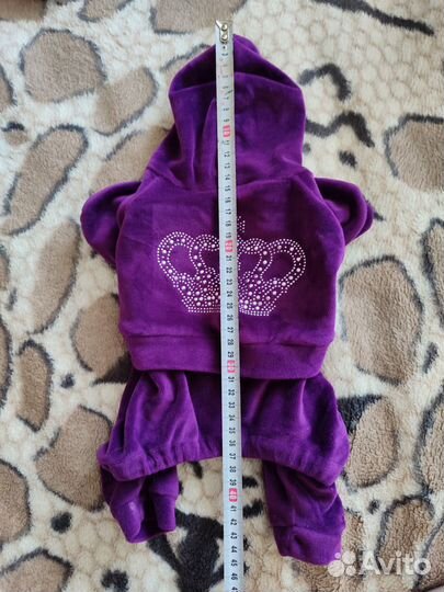 Одежда для собак мелких пород