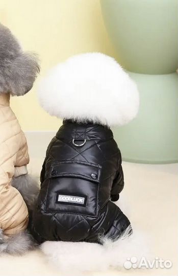 Комбинезон для собаки