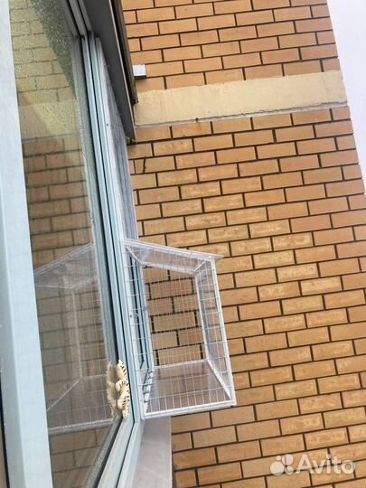Балкон для кота, решека на окно антикот