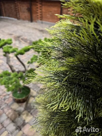 Искусственная туя