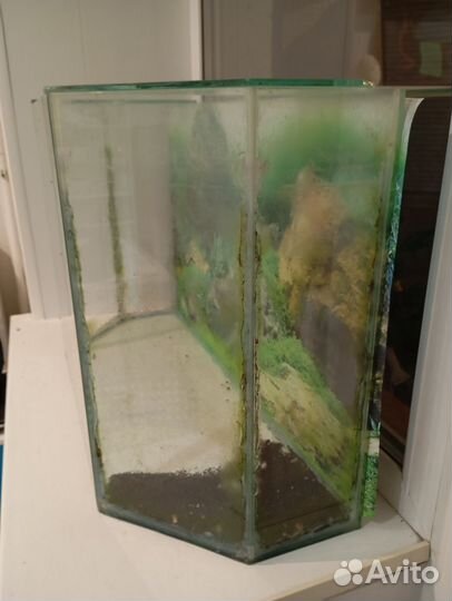 Аквариум