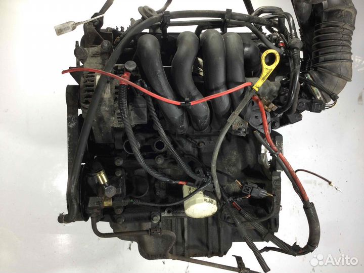 Двигатель Ford Focus, 1999, бенз. 1.6, fydc