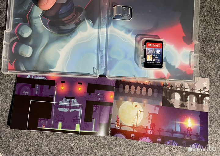 Dead Cells nintendo switch