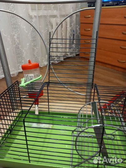 Клетка для джунгарского хомяка