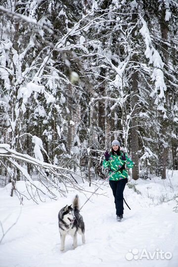 Автобусный Хаски-тур из Н.Новгорода