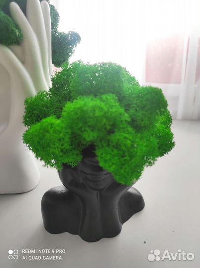 Часы настенные со мхом, оригинальные подарки