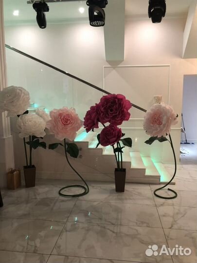 Аренда ростовых цветов, ростовые цветы, фотозона с