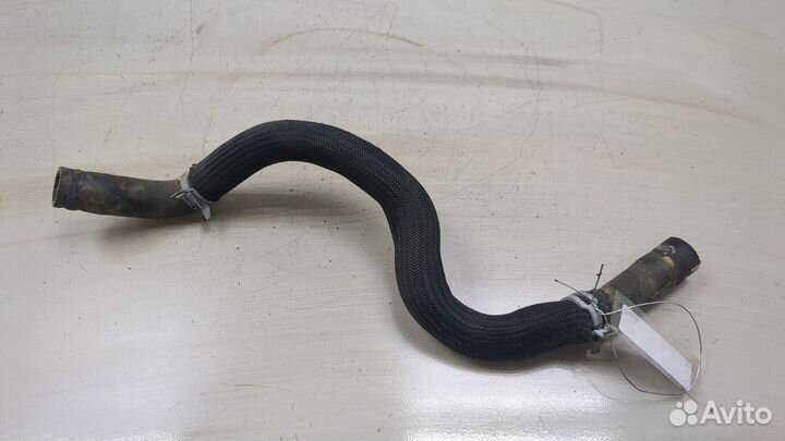 Патрубок охлаждения Ford Focus 4 2018, 2020
