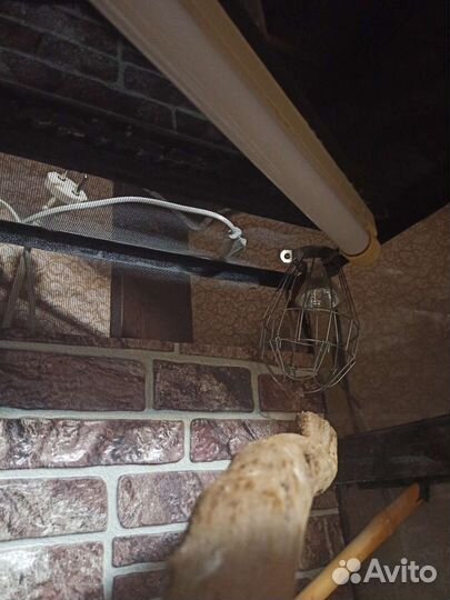 Террариум для рептилий