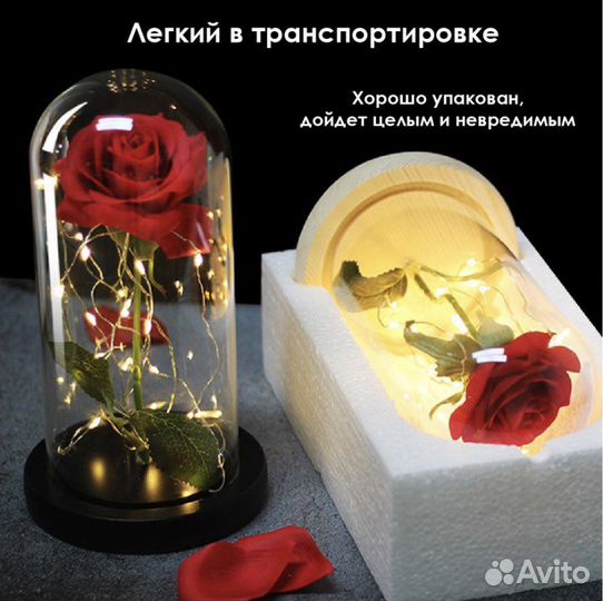 Вечная роза в колбе