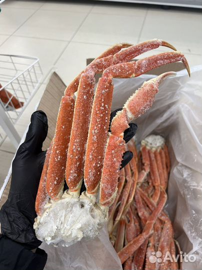 Клешни краба стригуна