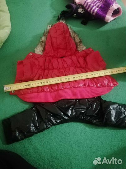 Одежда для маленьких собак