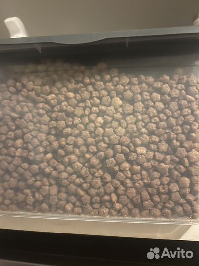 Корм для кошек сухой