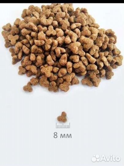 Корм для кошек