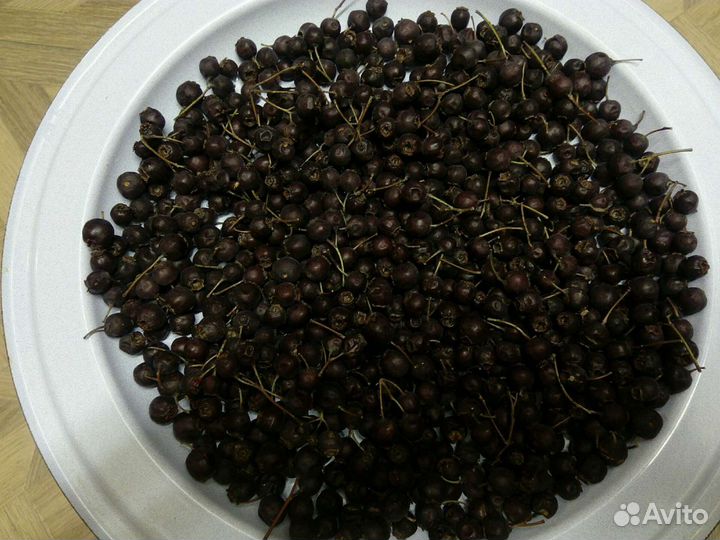 Боярышник чёрный