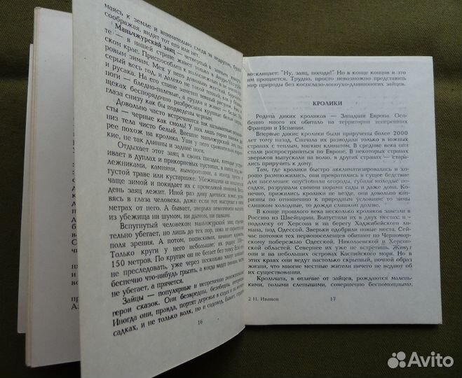 Кролики в вашем хозяйстве