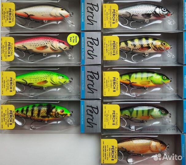 Salmo Perch 8F,8DR,8SDR