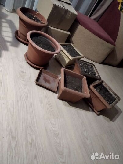 Большие горшки под цветы