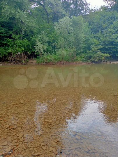 Участок 34 сот. (СНТ, ДНП)