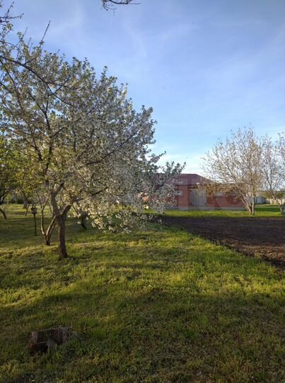 Участок 100 сот. (ИЖС)