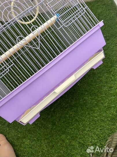 Клетка для попугая или грызуна крыса хомяк