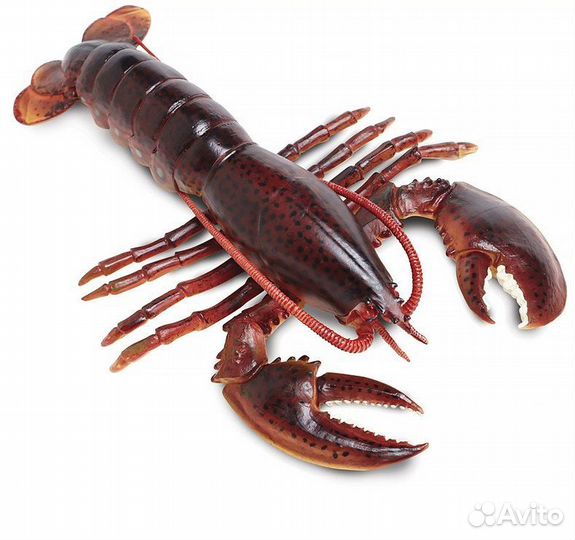 Фигурки Safari Ltd, Schleich Морские существа