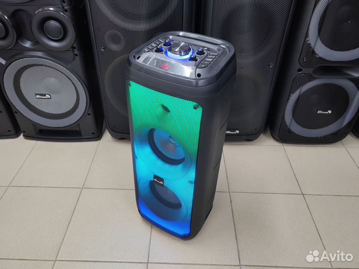 Колонка Eltronic 20-28