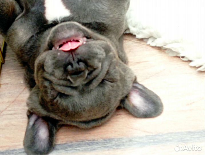 Инструктор по вязке