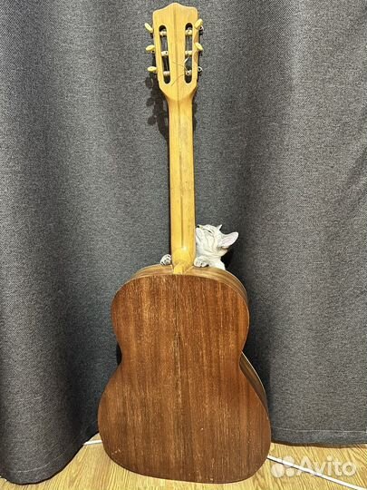 Классическая гитара орфей