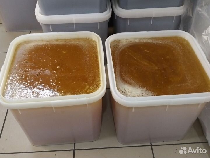 Мед подсолнечный оптом