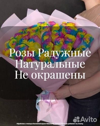 Розы Радуга 15 25 51