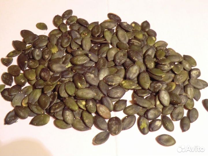 Семена штирийской тыквы