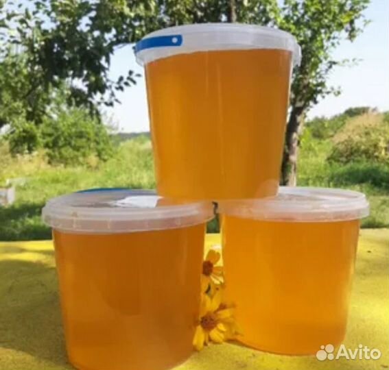 Мёд подсолнечный натуральный от пчеловода