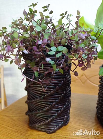 Кашпо для цветов