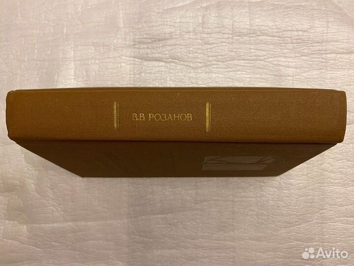 Философия Розанов Несовместимые контрасты жития